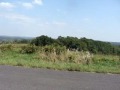 Apple Orchard near Yellowstone Lake, Wisconsin Best Produce around