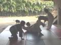 School Yard Jiu Jitsu,  Kauai Style