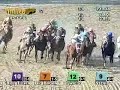 Preakness Stakes 2008
