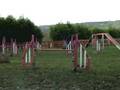 videos de Incubus Kai Agility at 18.5 months