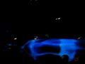 luciano   locodice play  cocoon ilario alicante s track