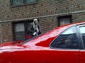 Weird Dude on the Streets of New York