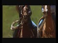 horse whisperer-begining of the love - The Horse Whisperer - Robert Redford - Flixster Video