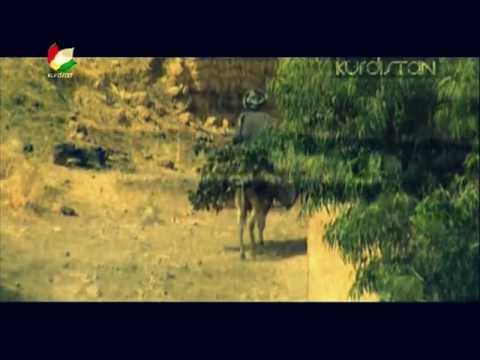 banaz - hasan zirak Adnan karim 2013 jegr media hussain 2013 aram shaida 2013 bahjat yahya 2013 mahir hassan 2013 barnamay barnama 2013 the voice mbc loka zahir 2013...
