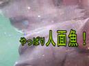 Thumbnail #3