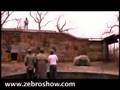 The Omega Man(s) - Episode Two - A Zebro Short