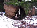 You and Me (Nicola Manfredi)-during training in Zl�k, Czech