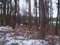 You and Me (Nicola Manfredi)-during training in Zlûk, Czech