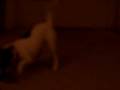 videos de We're doomed..