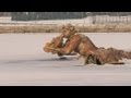 Les Jardins Du Château De Versailles Fermés À Cause Du Froid