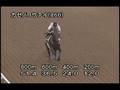 videos de [調教] 080723 カゼノコウテイ 「日本海ステークス」前追い切り