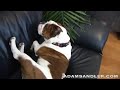 matzoball snoring matzoball snoring
