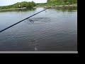 Fishing With Alden, Mike, Jesse, and Mason