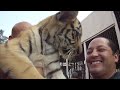 Omar Angulo con Tigre Cachorro