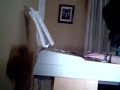 Instrumental - Foo Fighters - Instrumental - Foo Fighters -