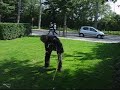 More metsubishi fun part 1