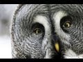 #087 その問題、採点されませんからー。ざんねーん！0点切り...｜TOEIC塾 - YouTube