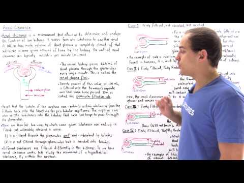 how to measure gfr with inulin