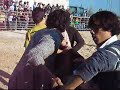 TOURADA EN VILA VERDE DE FICALHO
