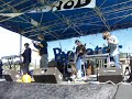 brass-bed-killer-bees-voodoofest.html