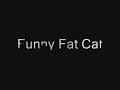 Funny Fat Cat (Fake)