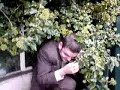 eyebrow caught in a bush????!!!!!