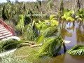 AKUMAL BEACH AFTER HURRICANE WILMA