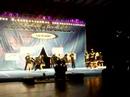 Hornet All Stars