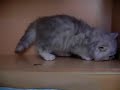 what's in the hole?!