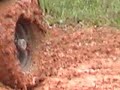 pacon en su 2do round.Pero termino por el lado  que estaba mejor.
