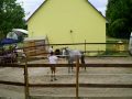 Présentation : Exercices de base