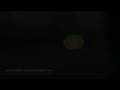 videos de Legal Racing Braila 2008