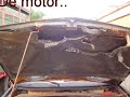 opeltje ontdekt opeltje ontdekt
