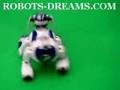 Robot-Soccer