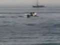 Amerizaje forzoso en Arenys de Mar