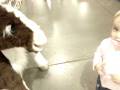 videos de Mia molestando al pony
