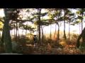 One More Time by Tree Bicycles MV[Boys Over Flowers OST]