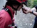 Happy Valley Adventures Matai nature talk Happy Valley Adventures Matai nature talk
