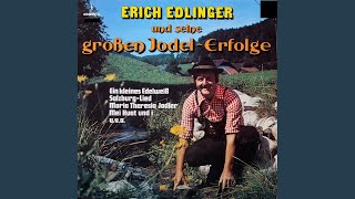 Salzburg-Lied (Es liegt eine Sadt vor den Bergen)