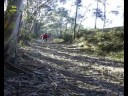 Passeio Domingueiro Grupo BTT Caça Mouros 02/11/2008