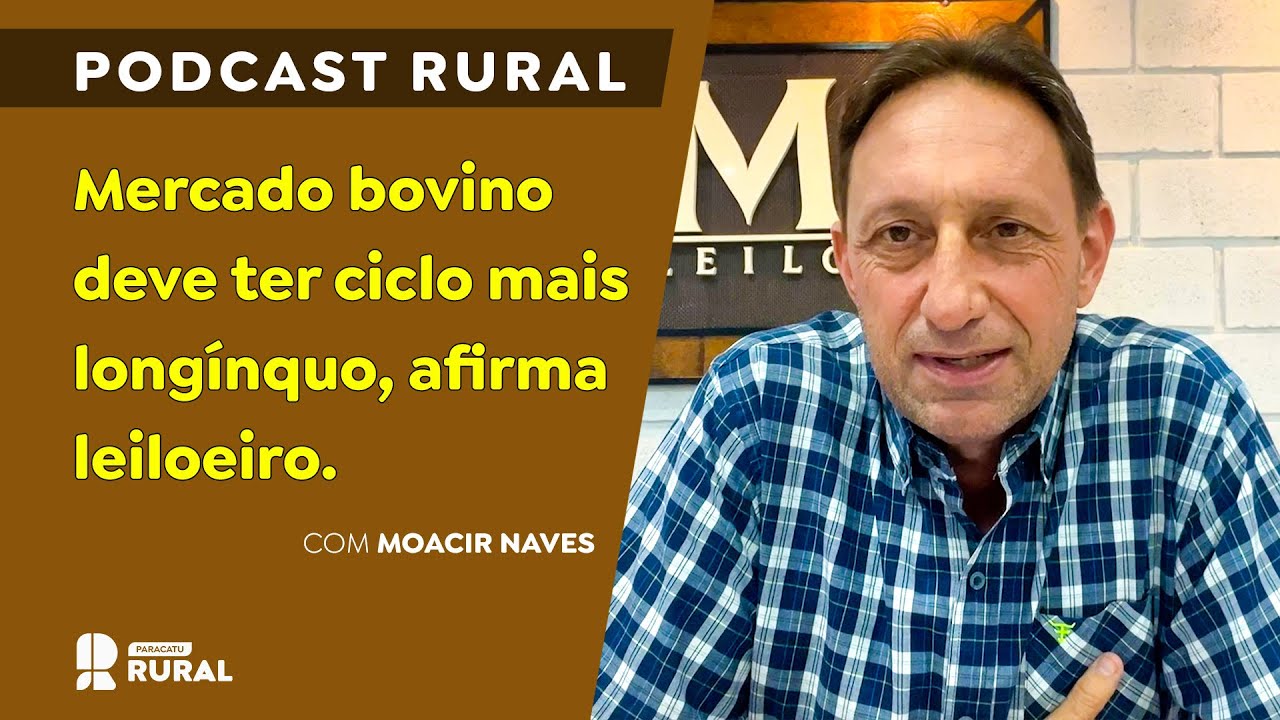 Mercado bovino deve ter ciclo mais longínquo, afirma leiloeiro.