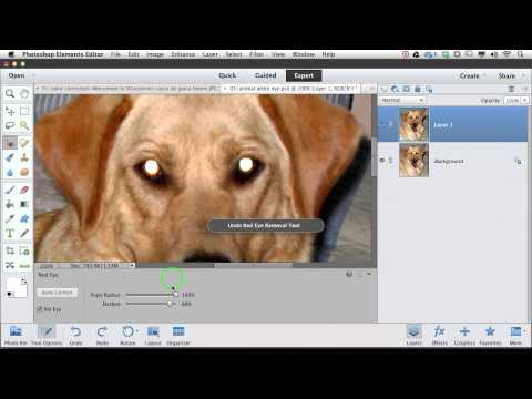 how to turn off snap in photoshop