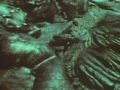 Planeta viviente de David Attenborough The Building of the Earth 5 / 6