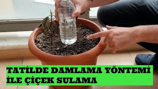 Çiçekleri Damlaya Yöntemi ile Sulama     (Tatil