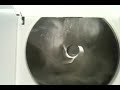 This machine was given to be by a friend and is in great condition. I have it plumbed in and thought i'd take a clip of it to show you.