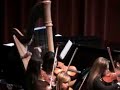 Pinellas Youth Symphony Senior Orchestra