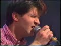 Lloyd Cole - Forest Fire