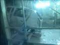 Dacia Sandero - Manufacturing of the car at the Pitesti fact