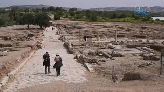 #هوا_بلادي  .. ما لا تعرفه عن قرية #صفوريا ..