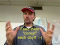 See Video